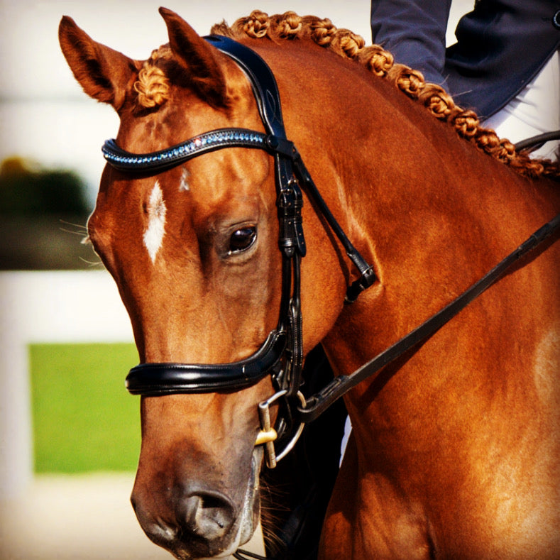 Passier Browband Curved with Big Rhinestones Rose gold/Black